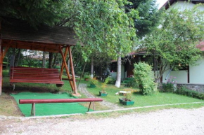 Pension Roni Buşteni